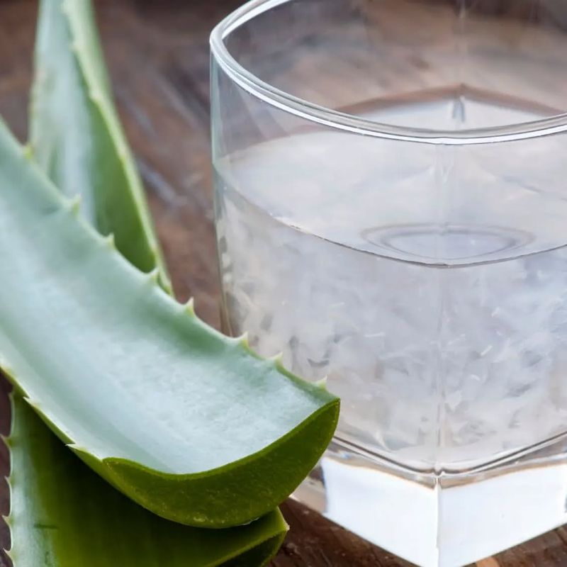 Aloe Vera for Burns