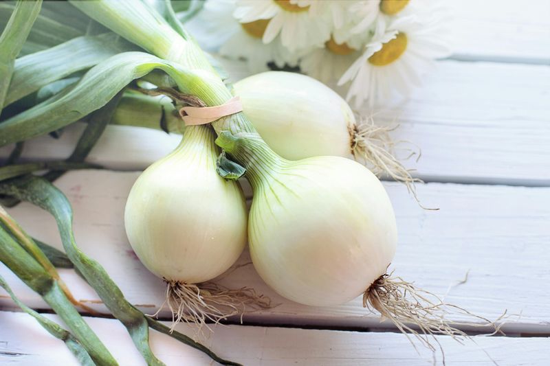 Onion for Cold Relief